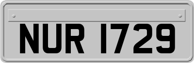 NUR1729