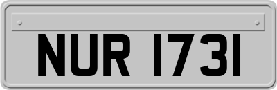 NUR1731