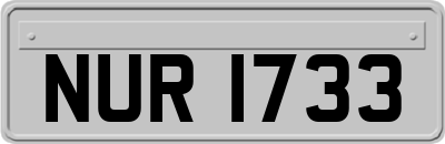 NUR1733