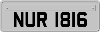 NUR1816