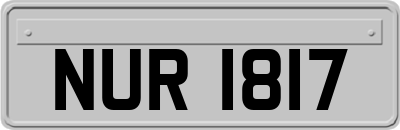 NUR1817