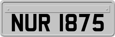 NUR1875