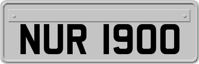 NUR1900