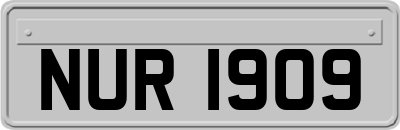 NUR1909