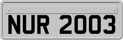 NUR2003