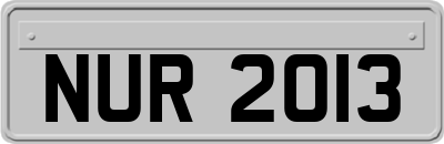 NUR2013