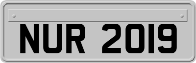NUR2019