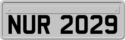 NUR2029