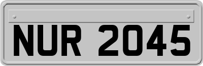 NUR2045