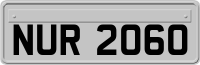 NUR2060