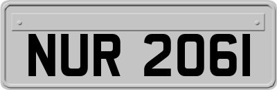 NUR2061