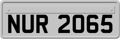 NUR2065