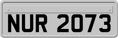 NUR2073