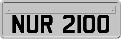 NUR2100