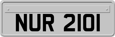 NUR2101