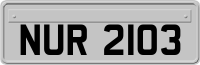 NUR2103