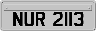 NUR2113