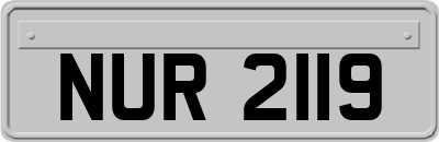 NUR2119