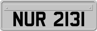 NUR2131