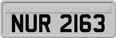 NUR2163