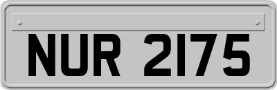 NUR2175