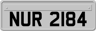 NUR2184