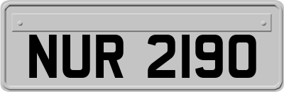 NUR2190