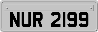 NUR2199