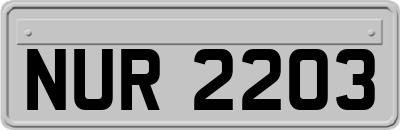 NUR2203