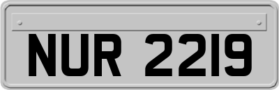 NUR2219