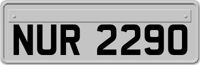 NUR2290
