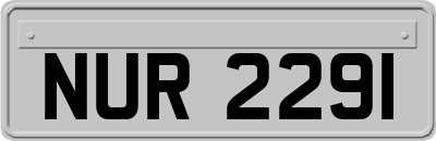 NUR2291