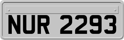 NUR2293