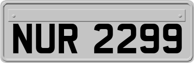 NUR2299