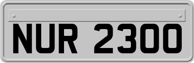 NUR2300