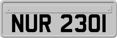 NUR2301