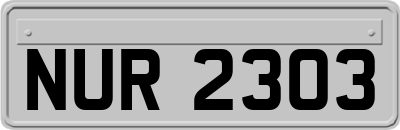 NUR2303