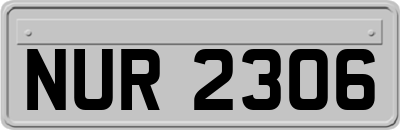 NUR2306
