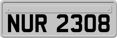 NUR2308