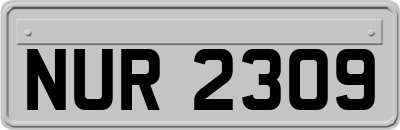 NUR2309