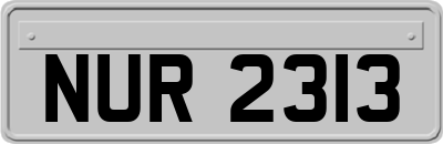 NUR2313