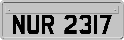 NUR2317