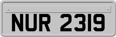 NUR2319