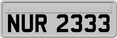 NUR2333