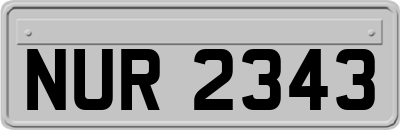 NUR2343