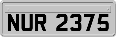 NUR2375