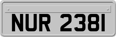 NUR2381