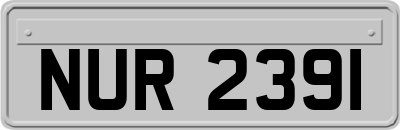 NUR2391