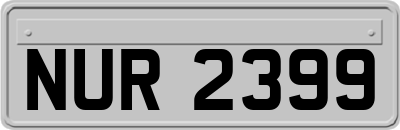 NUR2399