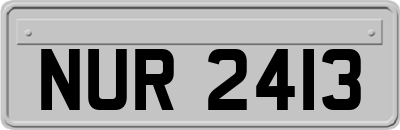 NUR2413